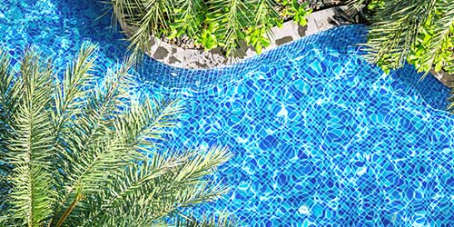 Palm trees surrounding a pool with a blue tile floor